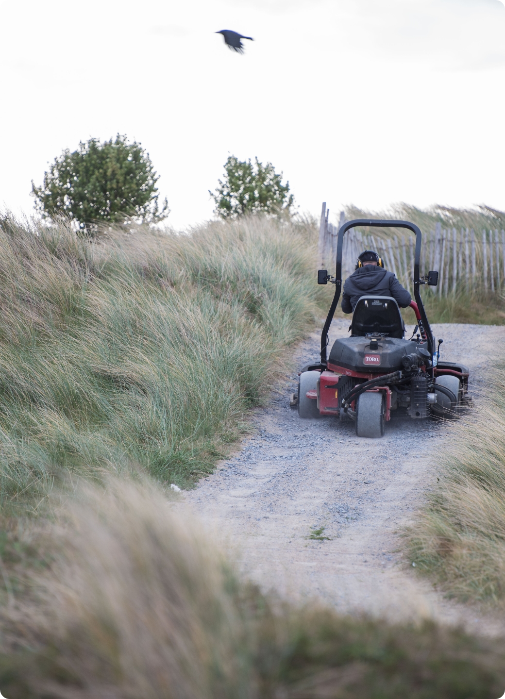 Mower_On Llinks path